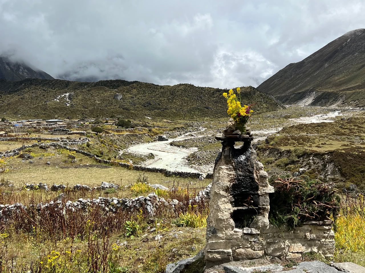 Dzongs & Temples