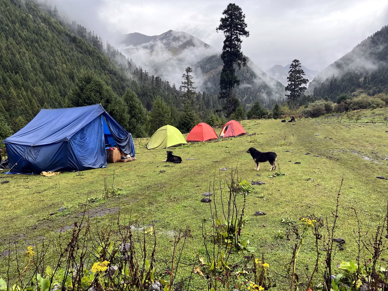 Bhutan Tours & Treks