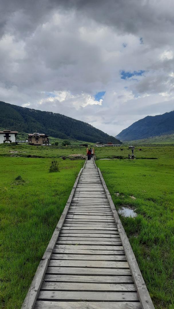 Phobjikha