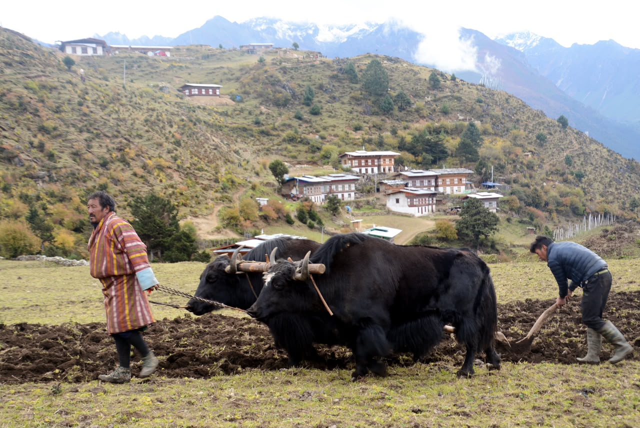 Eastern Bhutan Tour