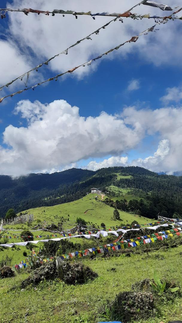Dzongs & Temples