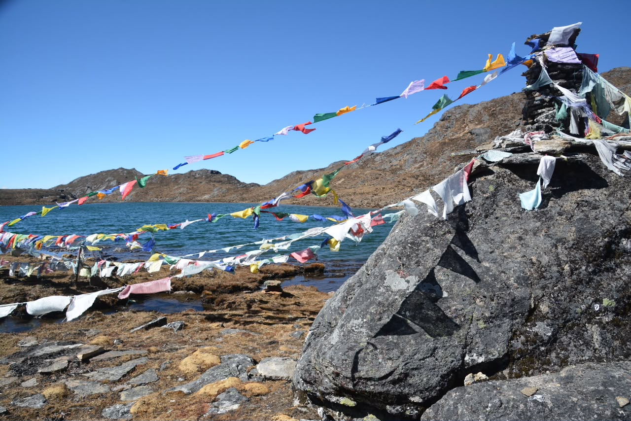 Dzongs & Temples